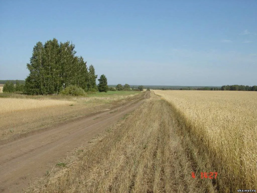 земельные участки в Челябинской обл. в Челябинске