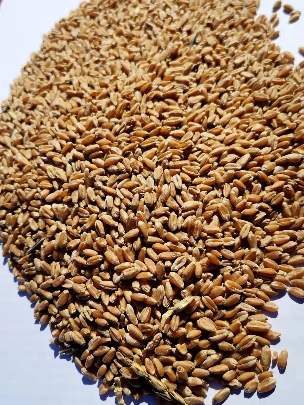 пшеница фасованная в Челябинске 3